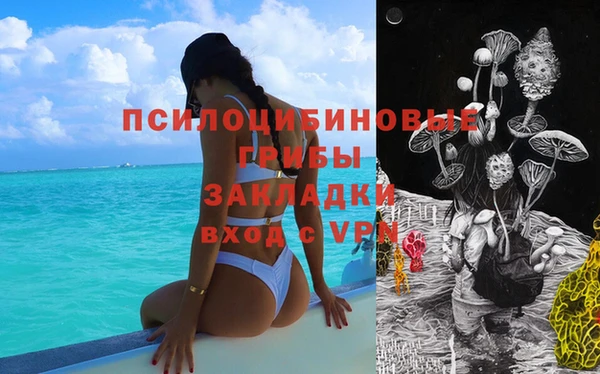 прущий лед Аркадак